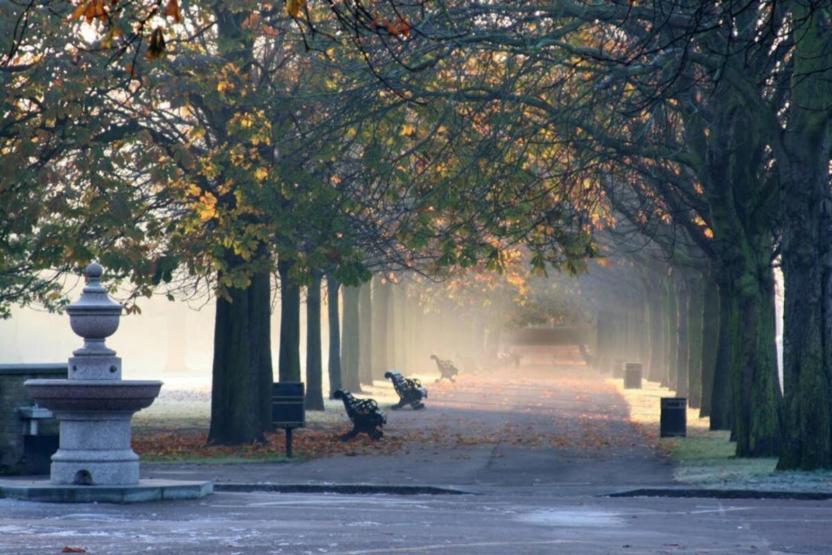 Appartamento Elegant & Spacious Parkside 2-bedroom 2-bathroom Flat In Period Building On Blackheath Common - Private Entrance, Great Greenwich Location, Easy For O2 Arena And City! Londra