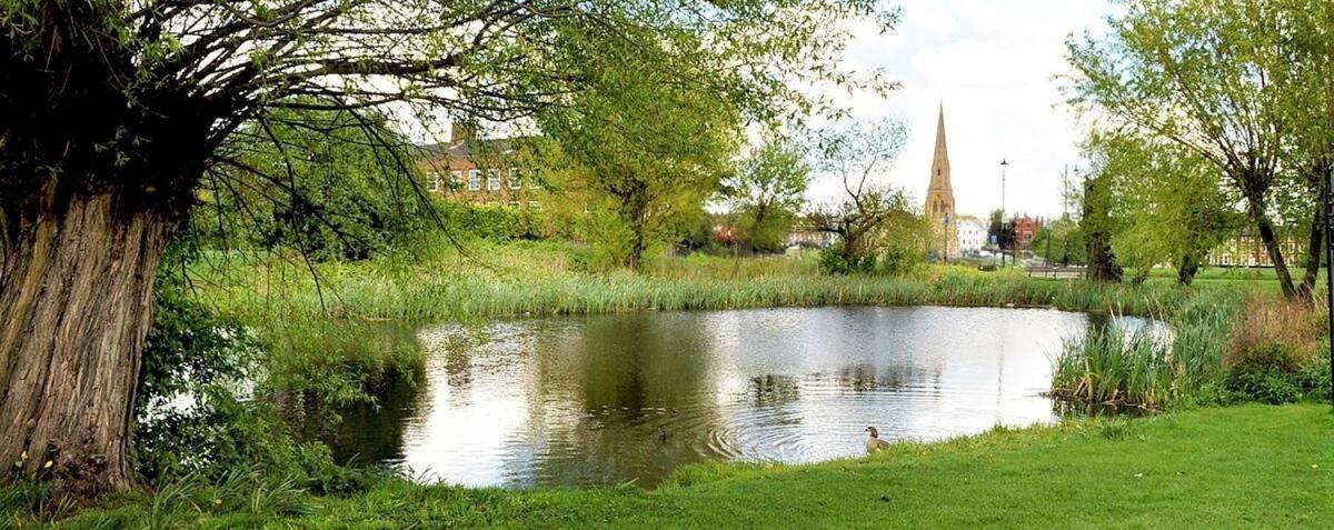 Appartamento Elegant & Spacious Parkside 2-bedroom 2-bathroom Flat In Period Building On Blackheath Common - Private Entrance, Great Greenwich Location, Easy For O2 Arena And City! Londra